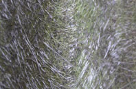 Shotatton fibreglass roof work